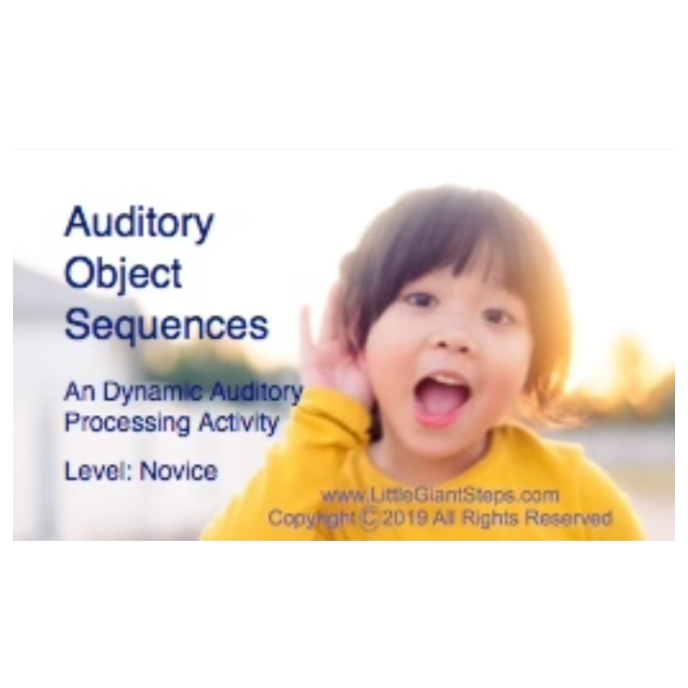 Auditory Object Sequence Cards - Novice or Pro