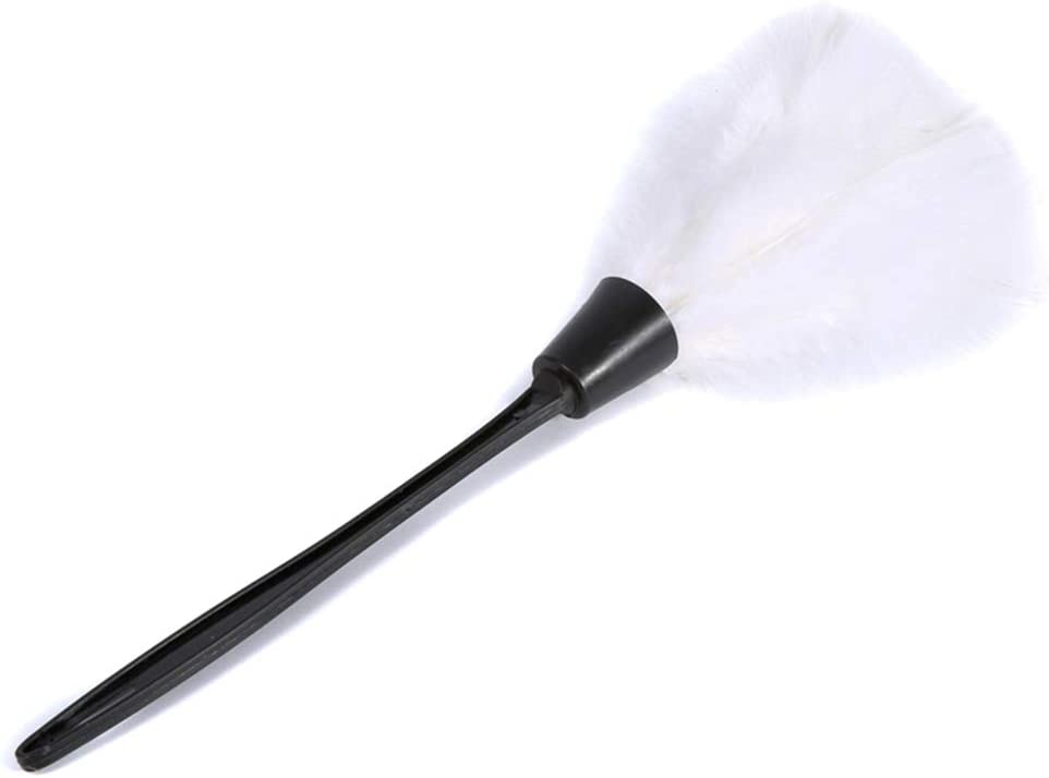 Feather Duster