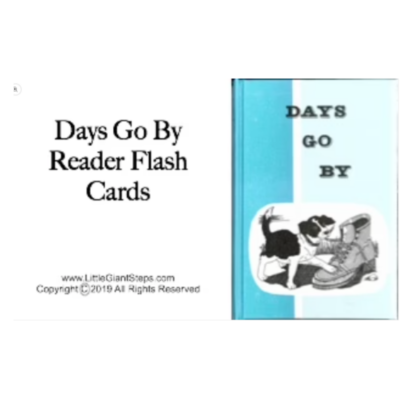 Days Go By or More Days Go By Flash Cards